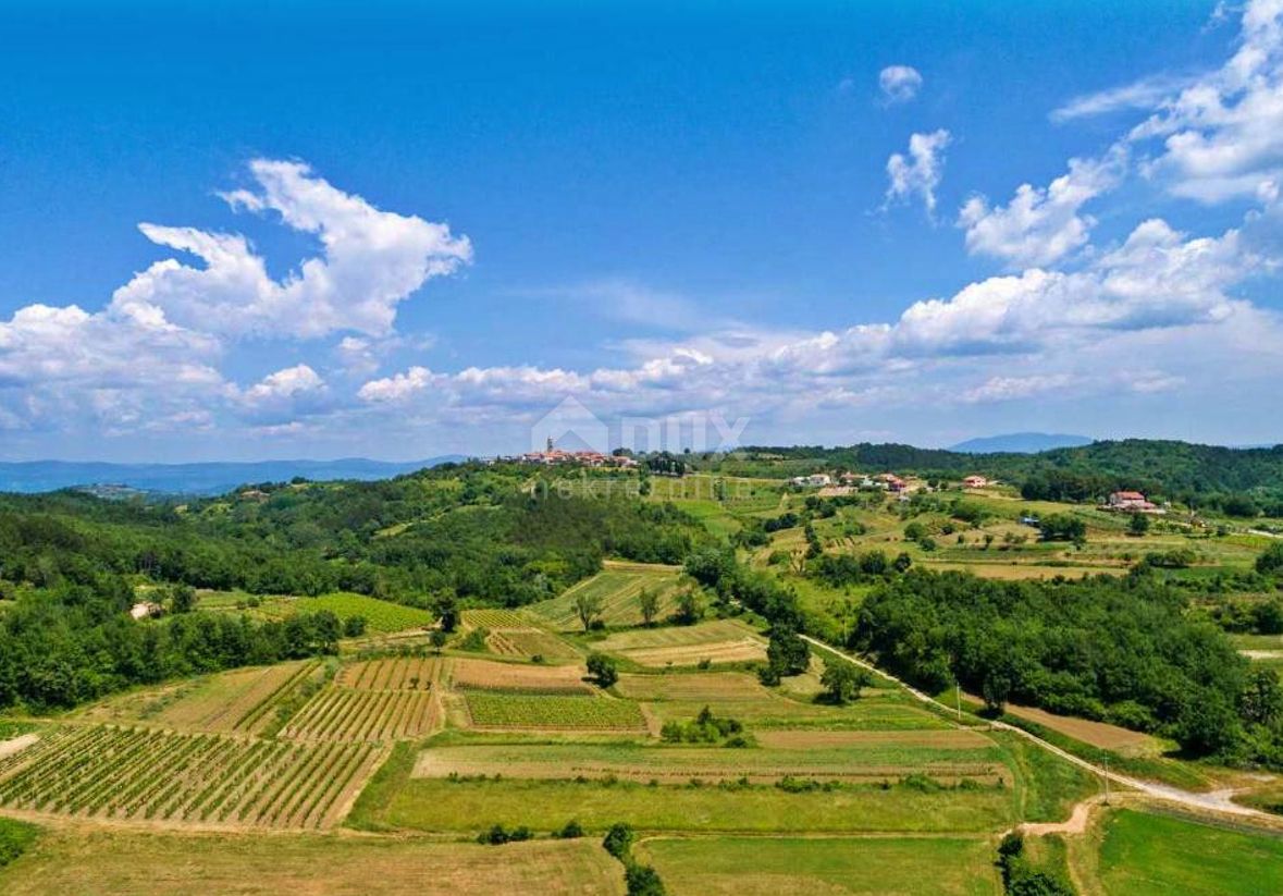 ISTRA, MOTOVUN - Prostorno kombinirano zemljišče