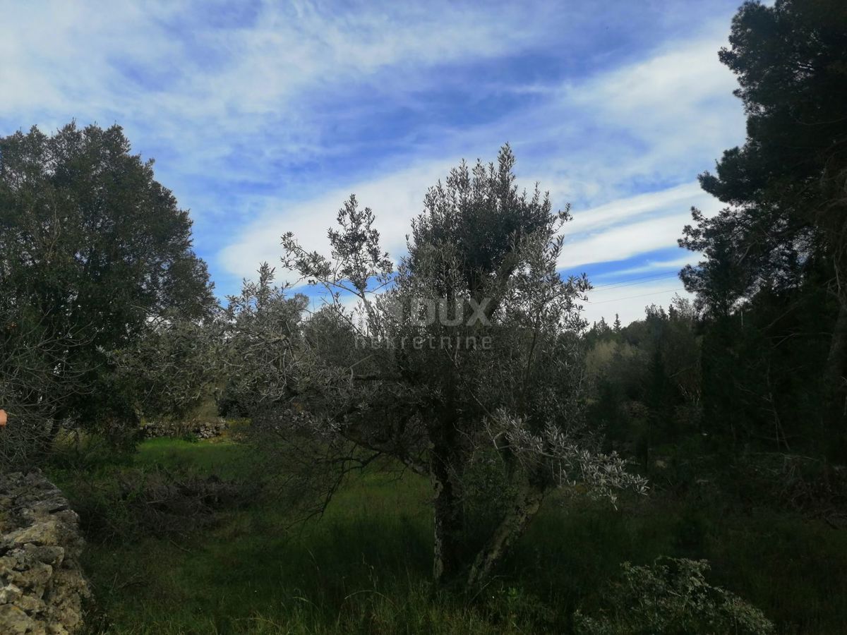 OTOK PAŠMAN, ŽDRELAC - 3000 m2 zazidljivega zemljišča blizu morja