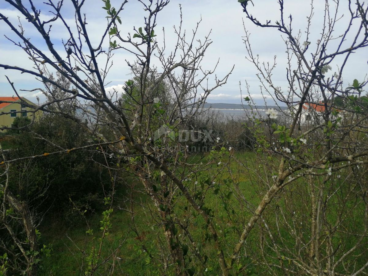 OTOK PAŠMAN, ŽDRELAC - 3000 m2 zazidljivega zemljišča blizu morja