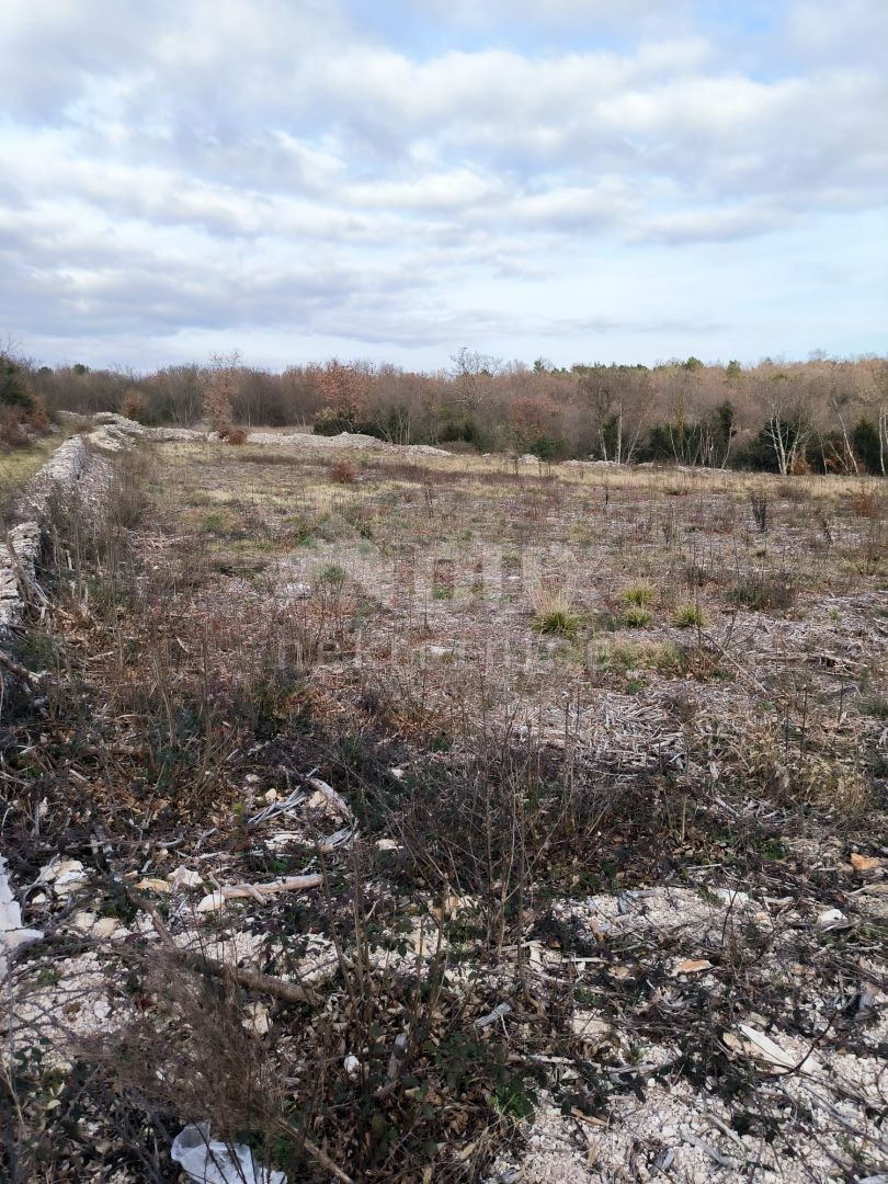 ISTRA, MARČANA Atraktivno gradbeno zemljišče!