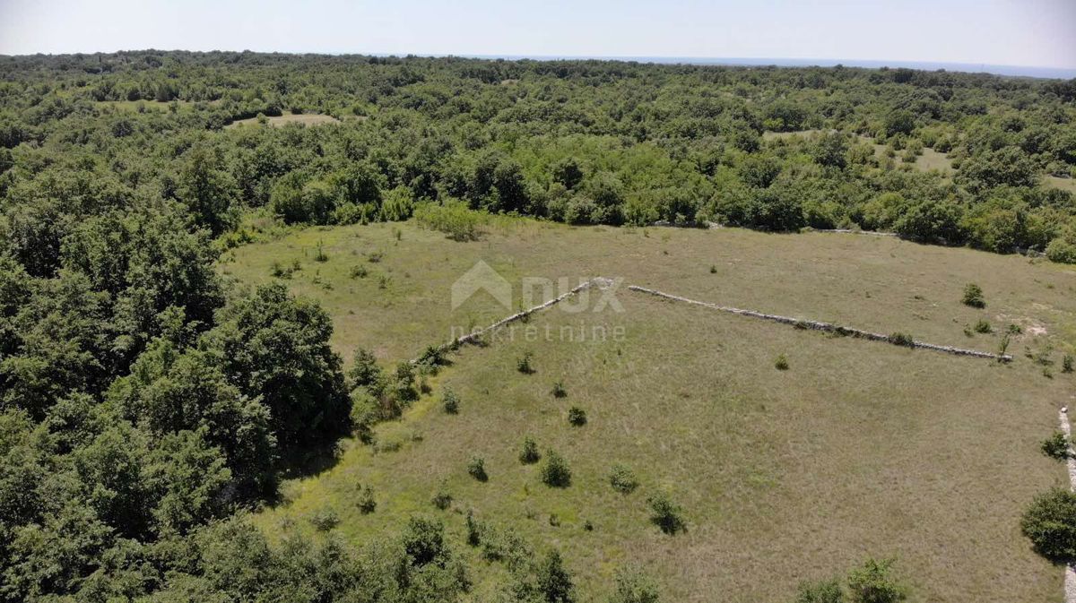 ISTRA, ŠTOKOVCI Zemljišče s projektom in gradbenim dovoljenjem