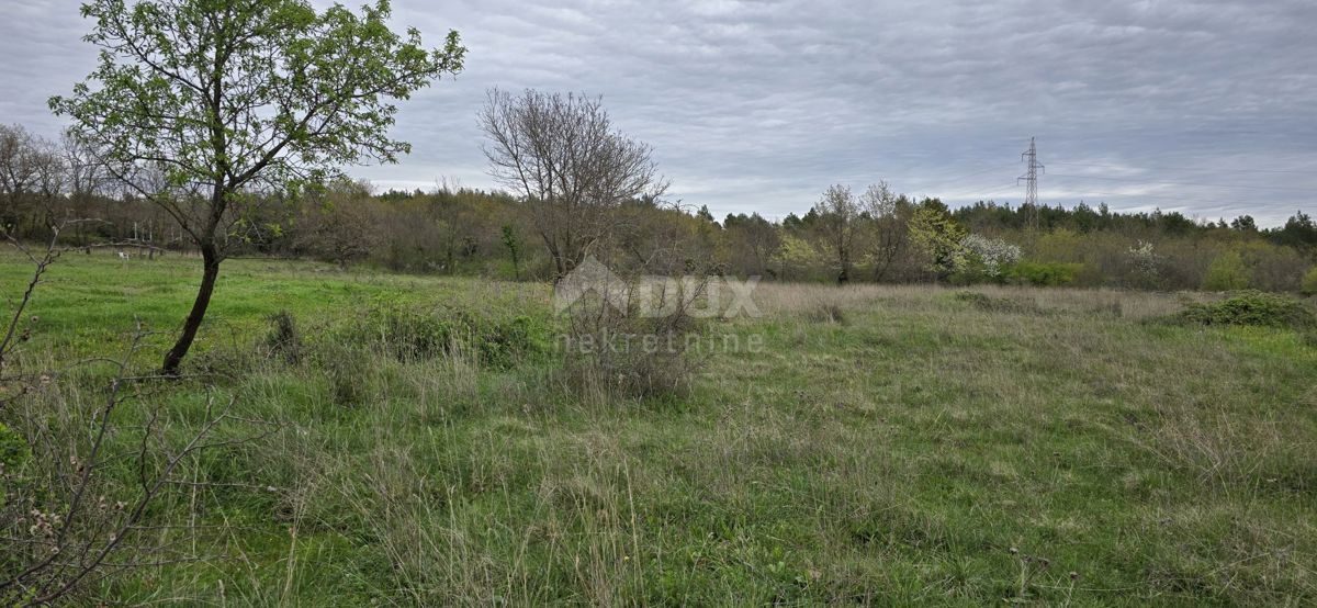 ISTRA, MARČANA - Dve zemljišči z dovoljenji za dve hiši z bazenom