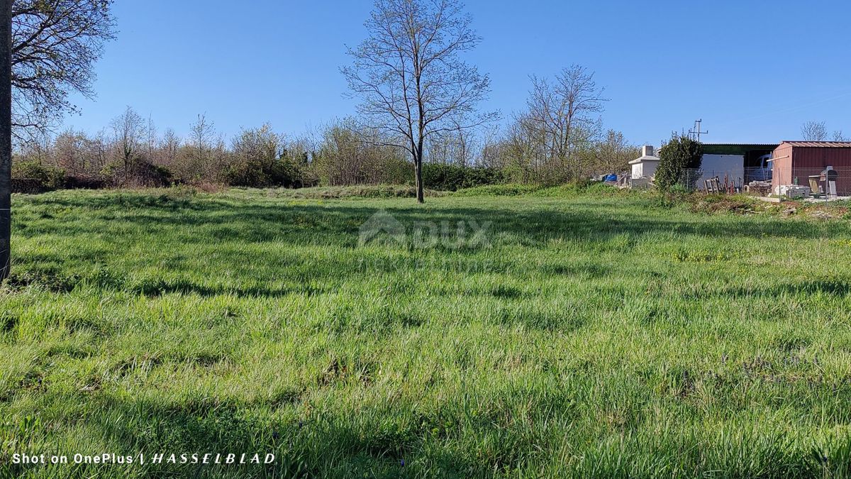 ISTRA, VIŠNJAN - Prostorno zemljišče s pogledom na morje