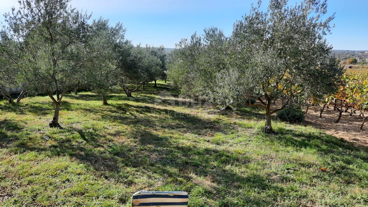 Pridraga, Novigrad, 1.080m2