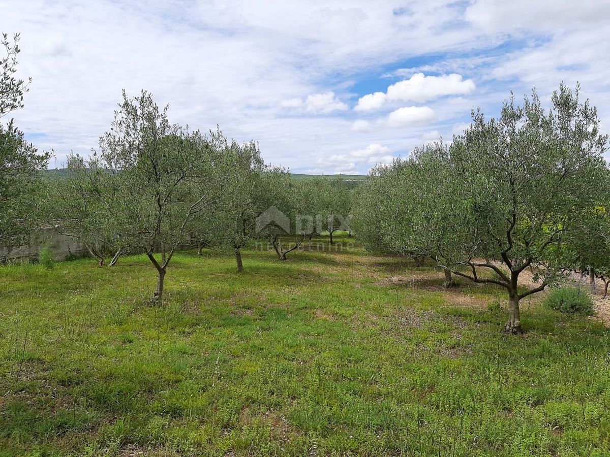 Pridraga, Novigrad, 1.080m2
