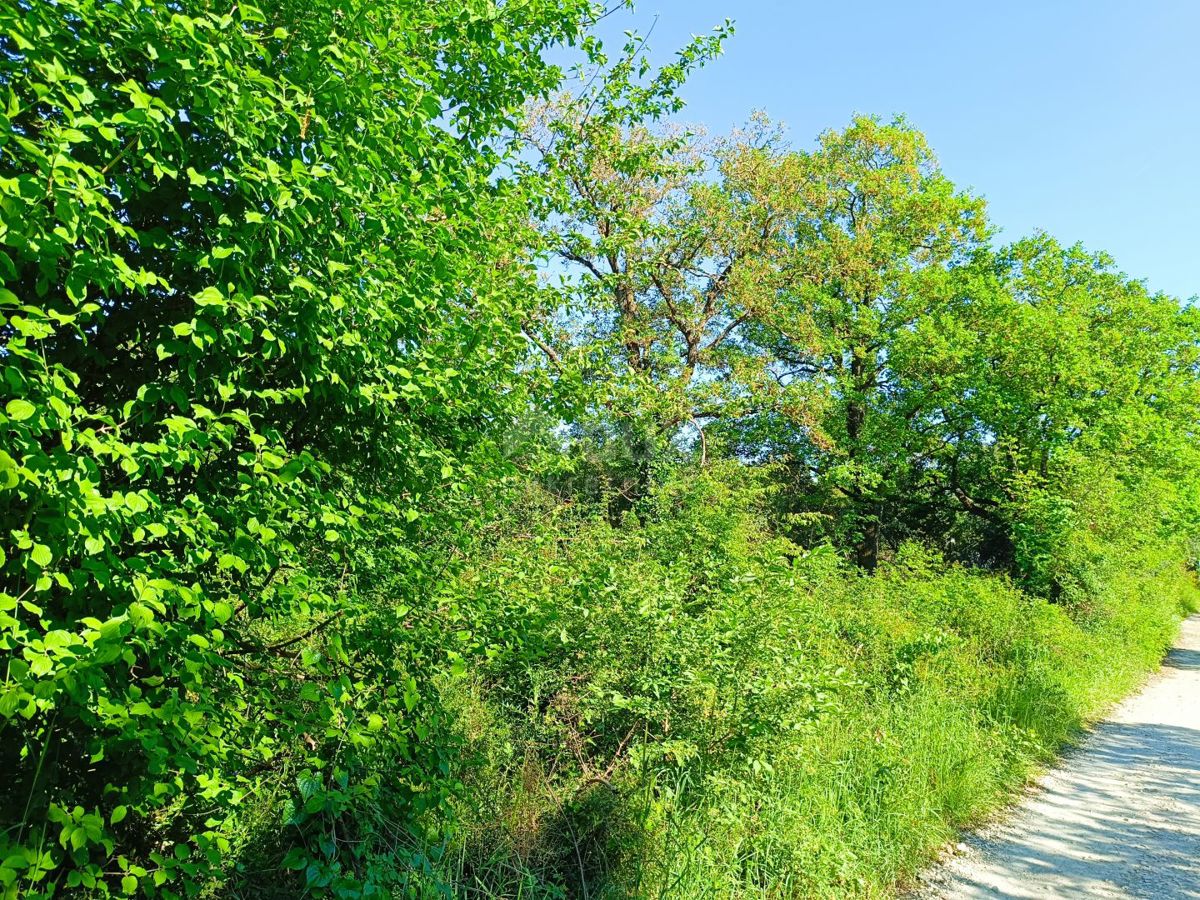 ISTRA, PEROJ Velika vikend zelena površina 200 m od plaže