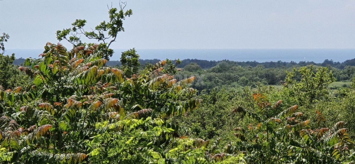 ISTRA, BUJE - Gradbeno zemljišče z dovoljenjem za dve vili z bazenom, čudovit pogled na morje