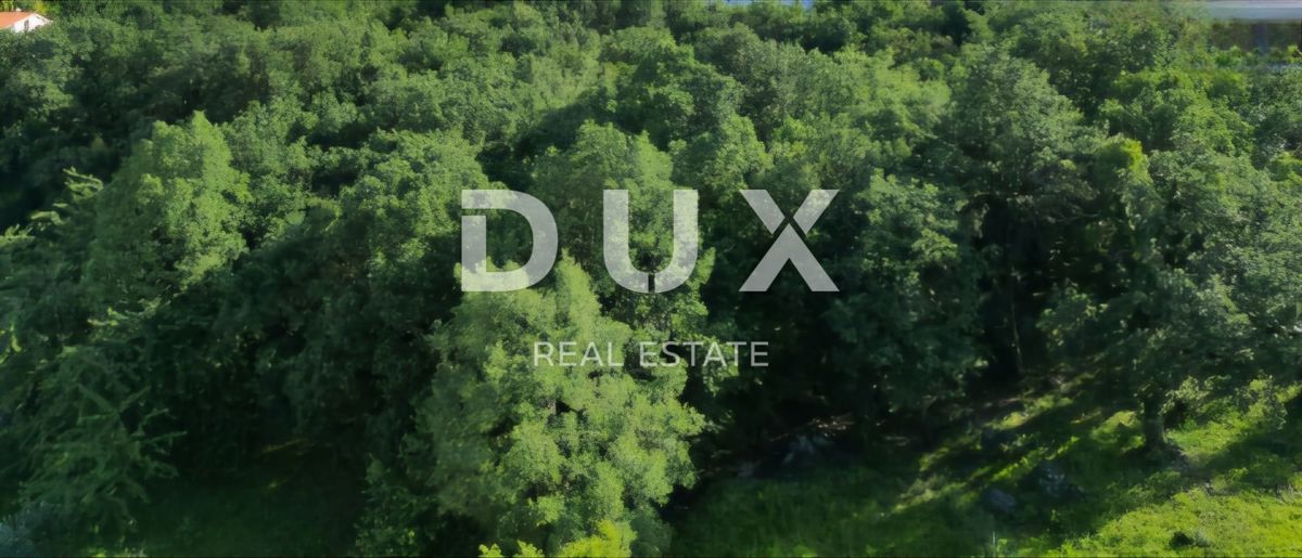 OPATIJA, OKOLICA - Priložnost za investitorje! Gradbeno zemljišče 5000 m² s panoramskim pogledom na morje