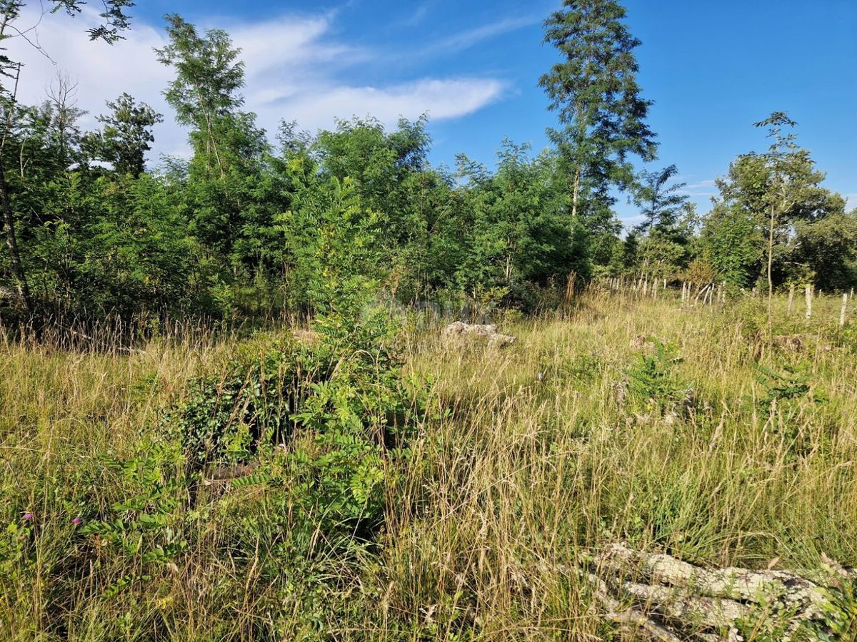 ISTRA, GROŽNJAN - Prostorno zemljišče na robu vasi