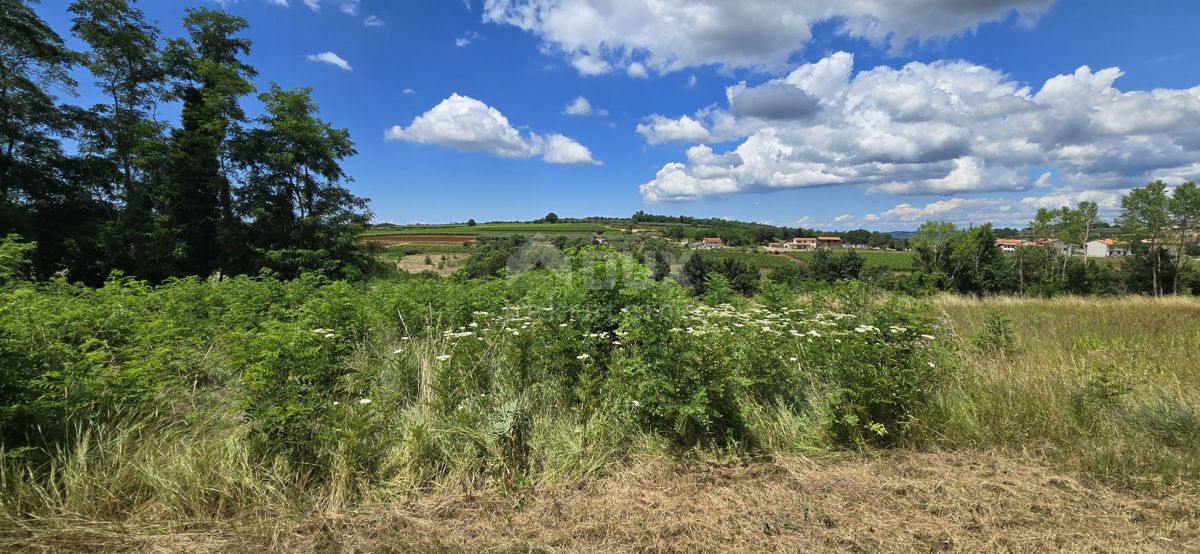 ISTRA, VIŽINADA - Gradbena parcela z odprtim pogledom