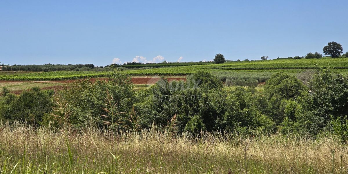 ISTRA, VIŽINADA - Gradbena parcela z odprtim pogledom