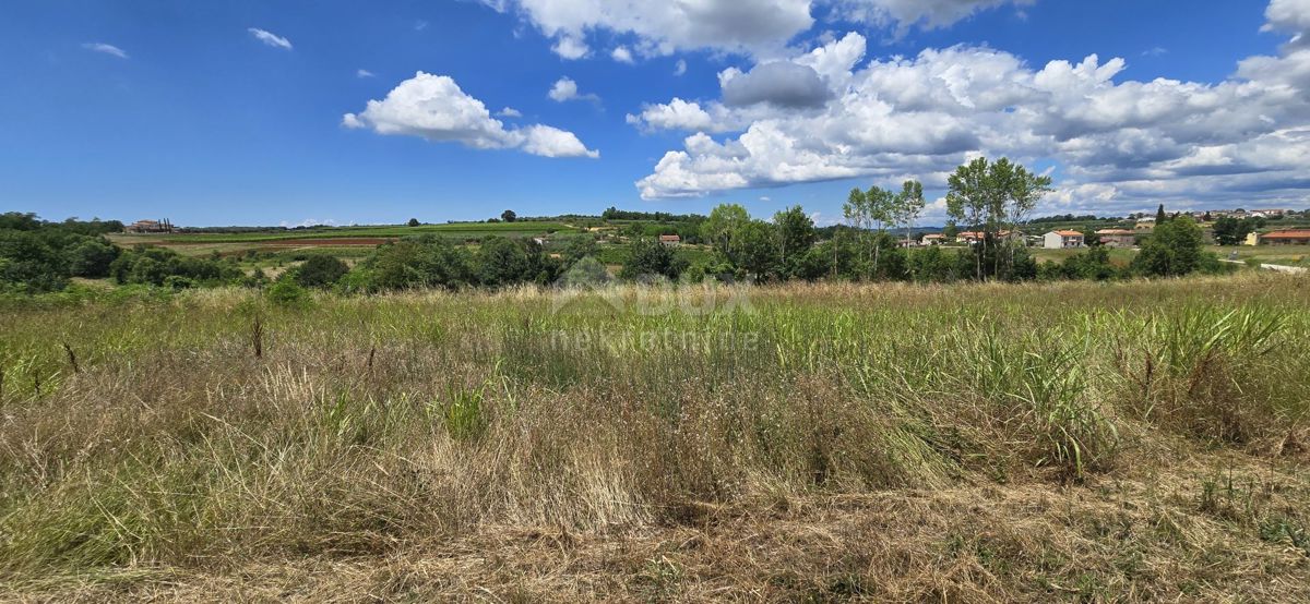 ISTRA, VIŽINADA - Gradbena parcela z odprtim pogledom