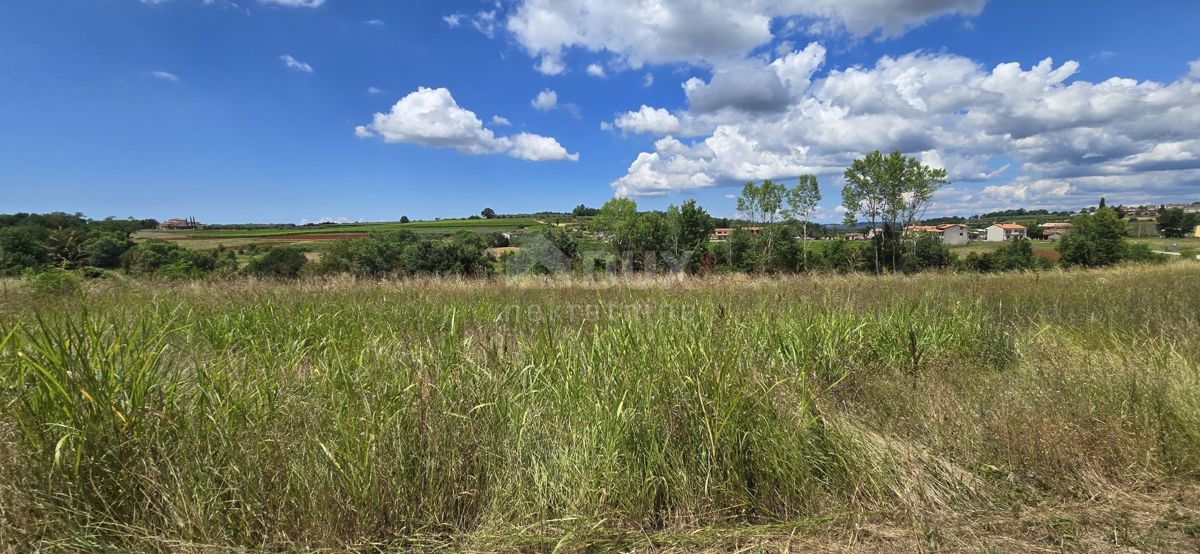 ISTRA, VIŽINADA - Gradbena parcela z odprtim pogledom