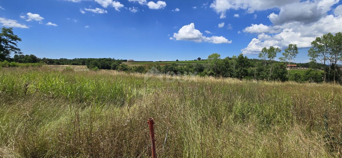 ISTRA, VIŽINADA - Gradbena parcela z odprtim pogledom