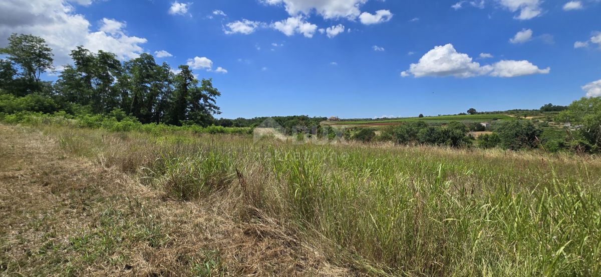 ISTRA, VIŽINADA - Gradbena parcela z odprtim pogledom