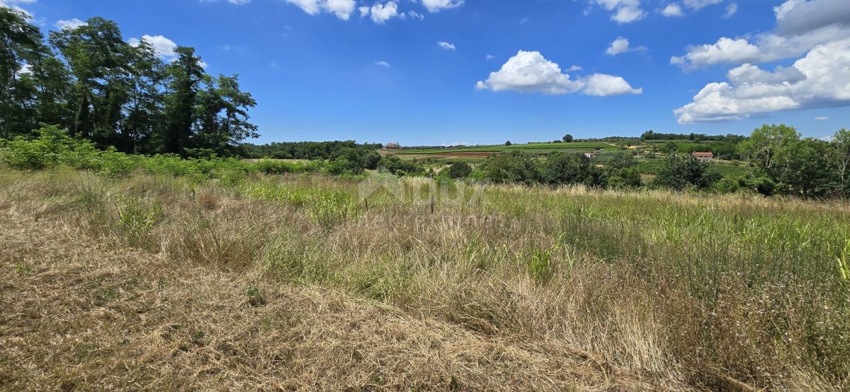 ISTRA, VIŽINADA - Gradbena parcela z odprtim pogledom