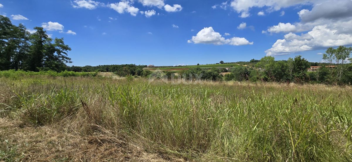 ISTRA, VIŽINADA - Gradbena parcela z odprtim pogledom