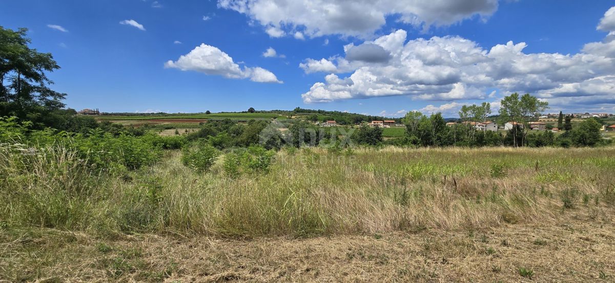 ISTRA, VIŽINADA - Gradbena parcela z odprtim pogledom