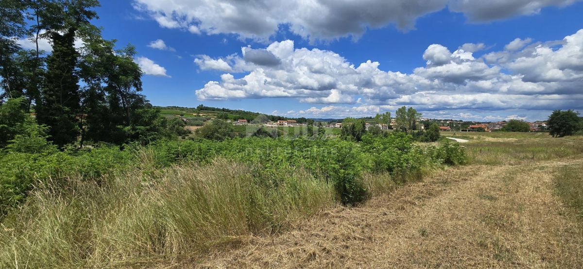 ISTRA, VIŽINADA - Gradbena parcela z odprtim pogledom