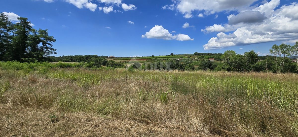 ISTRA, VIŽINADA - Gradbena parcela z odprtim pogledom