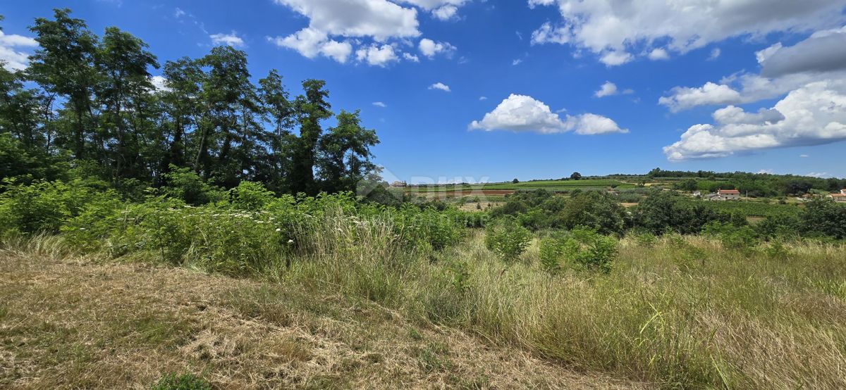 ISTRA, VIŽINADA - Gradbena parcela z odprtim pogledom