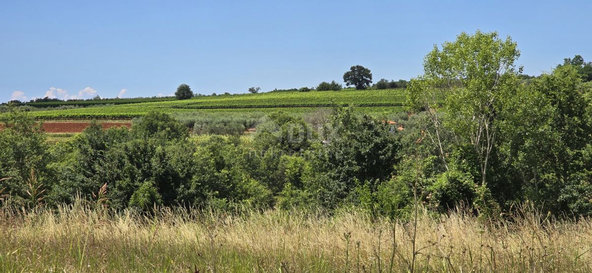 ISTRA, VIŽINADA - Gradbena parcela z odprtim pogledom