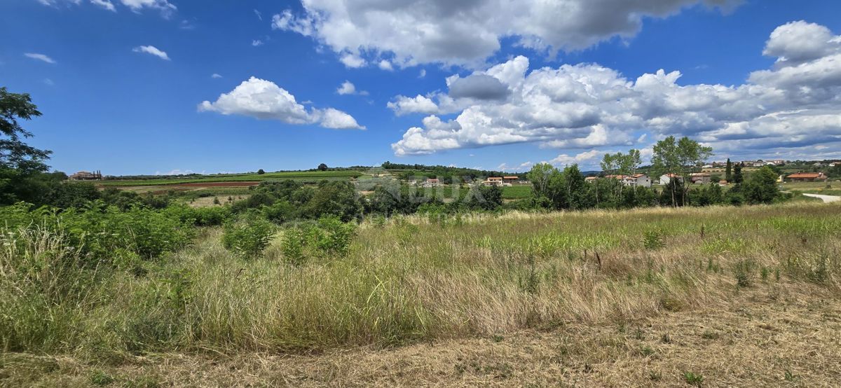 ISTRA, VIŽINADA - Gradbena parcela z odprtim pogledom