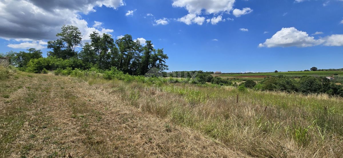 ISTRA, VIŽINADA - Gradbena parcela z odprtim pogledom