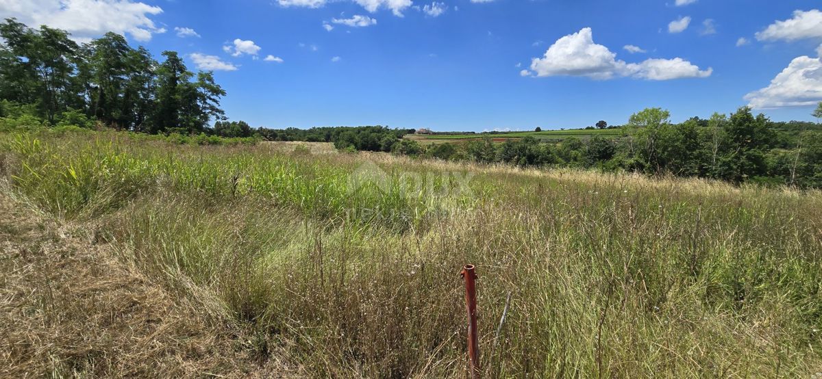 ISTRA, VIŽINADA - Gradbena parcela z odprtim pogledom