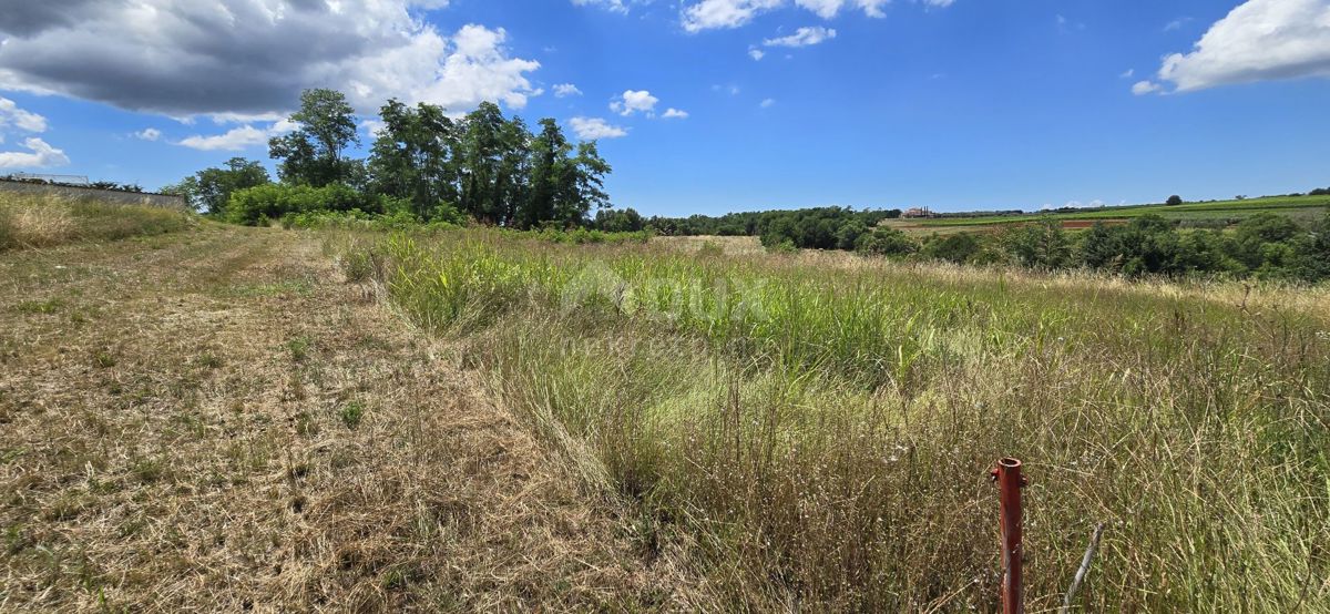 ISTRA, VIŽINADA - Gradbena parcela z odprtim pogledom