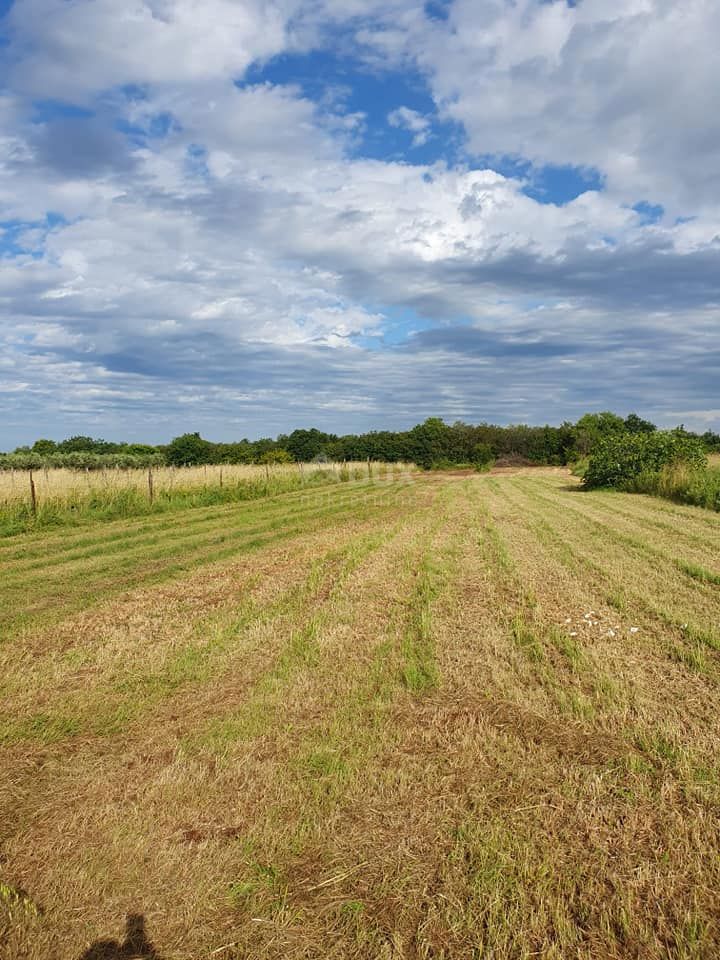 ISTRA, LIŽNJAN Gradbeno zemljišče v Muntiću 900 m2