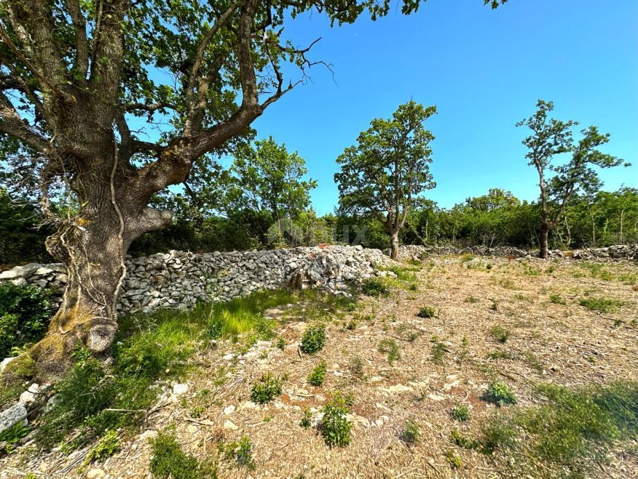 LABIN, SV. LOVREČ, VLAKOVO - gradbeno zemljišče 8600m2 za hotel / boutique hotel / družinsko hišo / vilo / apartmaje / oddamo hišo z bazenom / počitniško hišo z bazenom