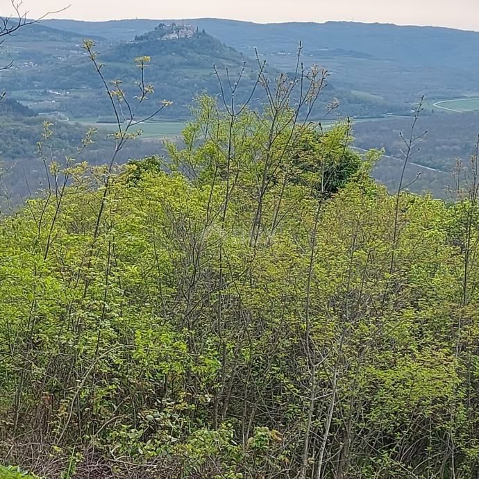 ISTRA, LIVADE (okolica) - Gradbeno zemljišče z odličnim razgledom