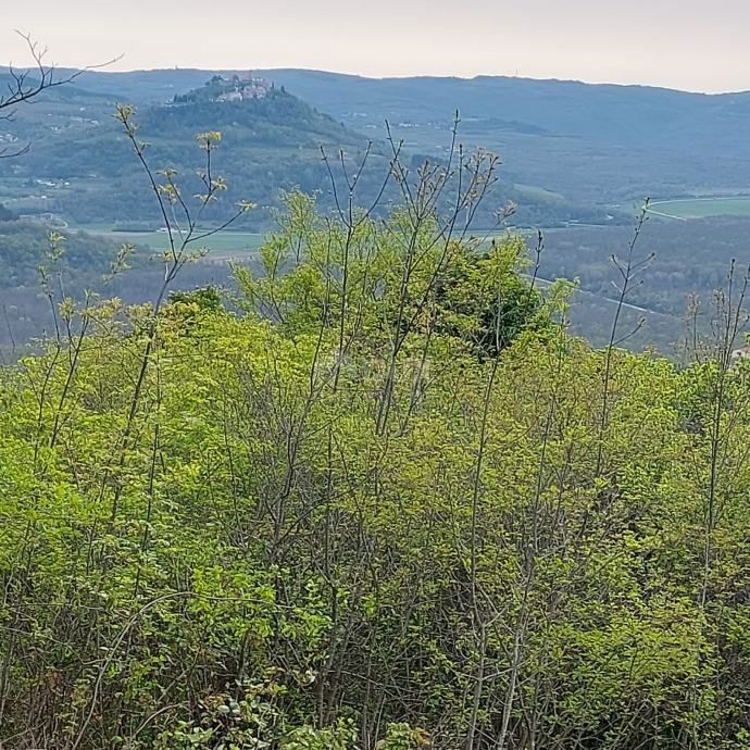 ISTRA, LIVADE (okolica) - Gradbeno zemljišče z odličnim razgledom