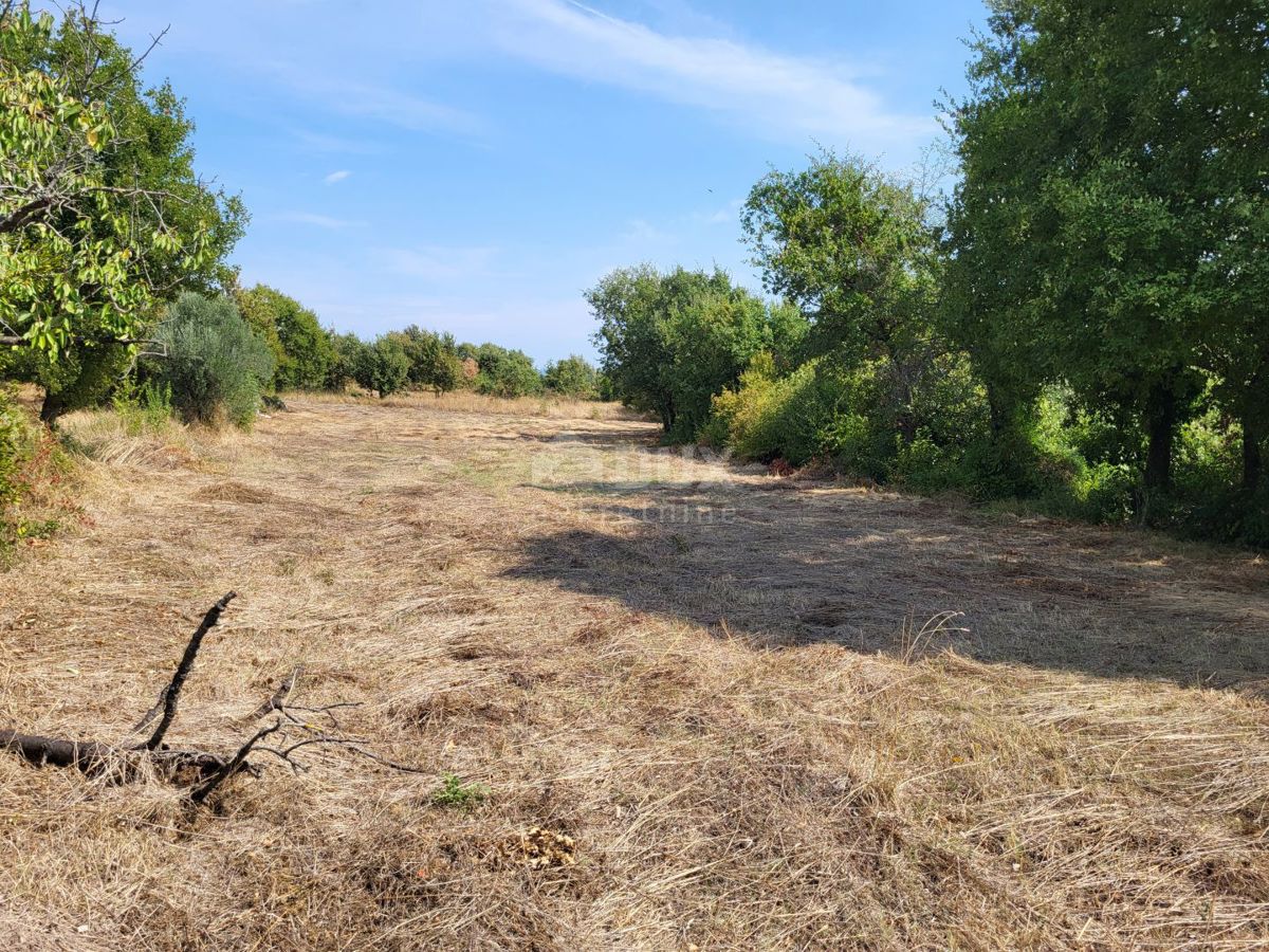 ISTRA, MARČANA - Zazidljivo in kmetijsko zemljišče 