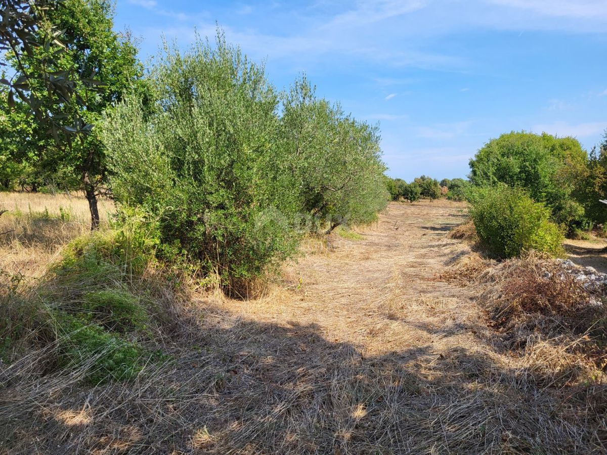 ISTRA, MARČANA - Zazidljivo in kmetijsko zemljišče 