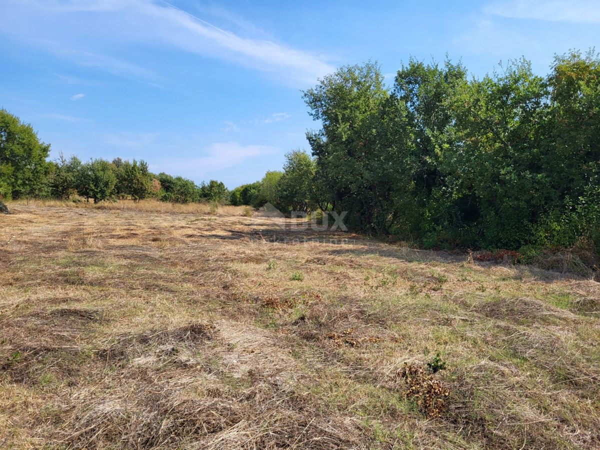 ISTRA, MARČANA - Zazidljivo in kmetijsko zemljišče 