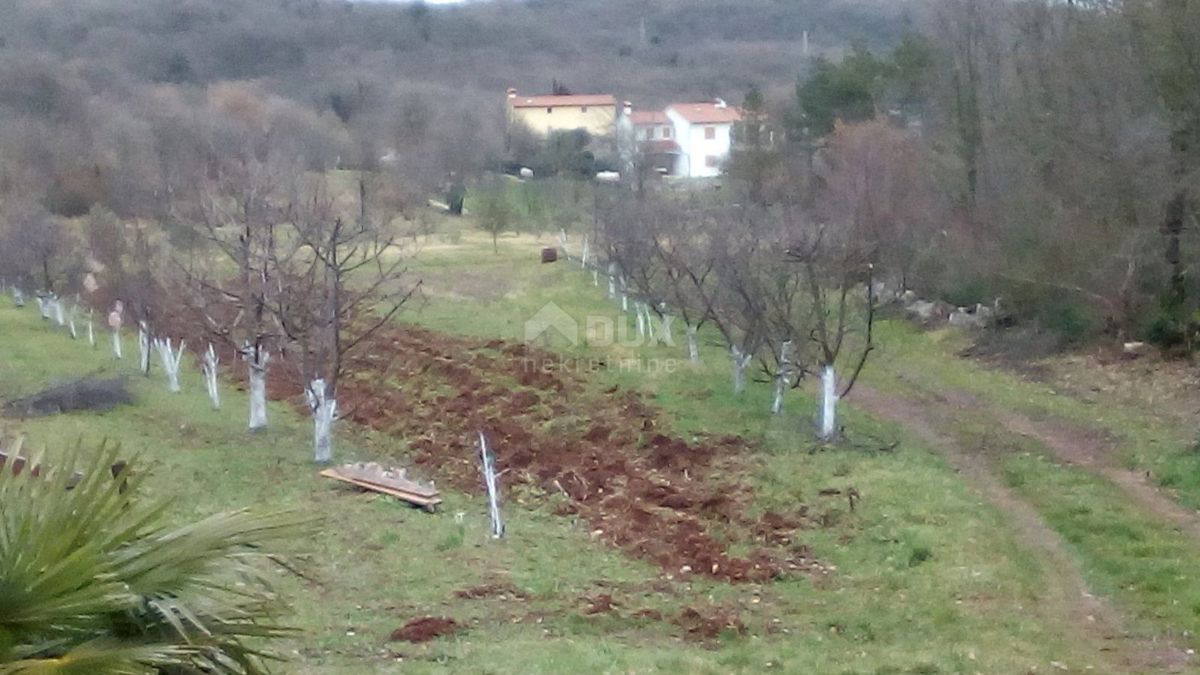 ISTRA, LABIN - Samostojna posest s samostojno kamnito hišo za obnovo