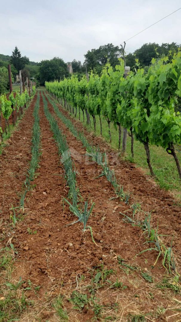 ISTRA, LABIN - Samostojna posest s samostojno kamnito hišo za obnovo