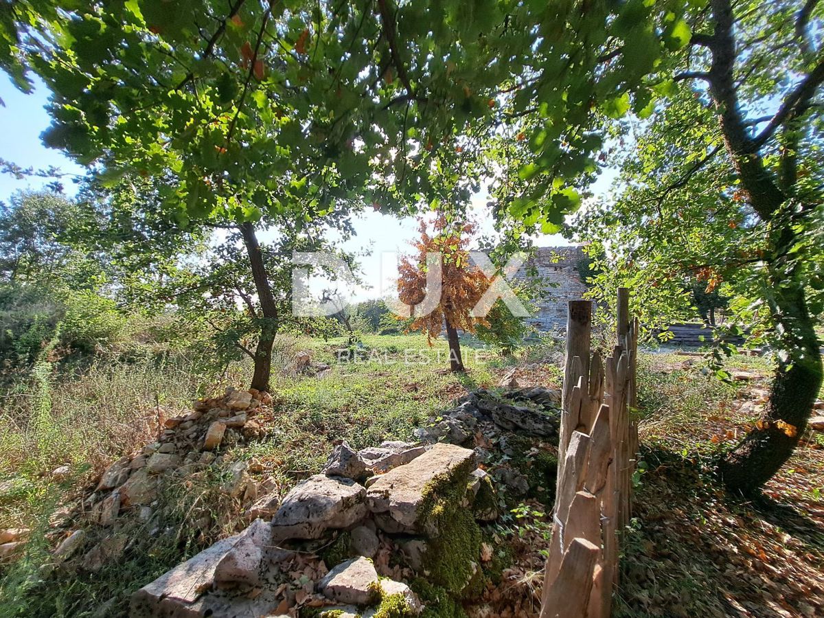 ISTRA, GROŽNJAN, OKOLICA - stara hiša na gradbeni parceli 4600 m2