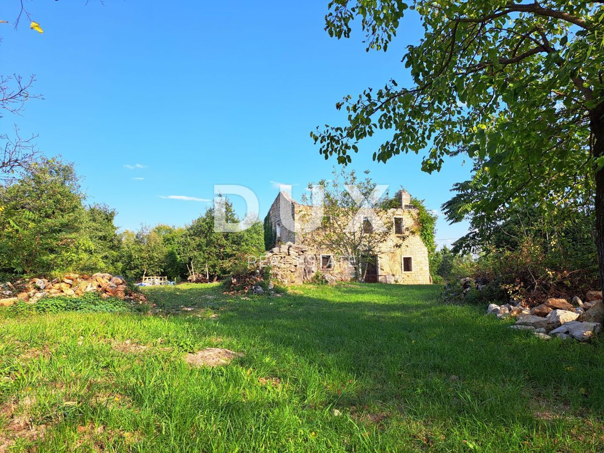 ISTRA, GROŽNJAN, OKOLICA - stara hiša na gradbeni parceli 4600 m2