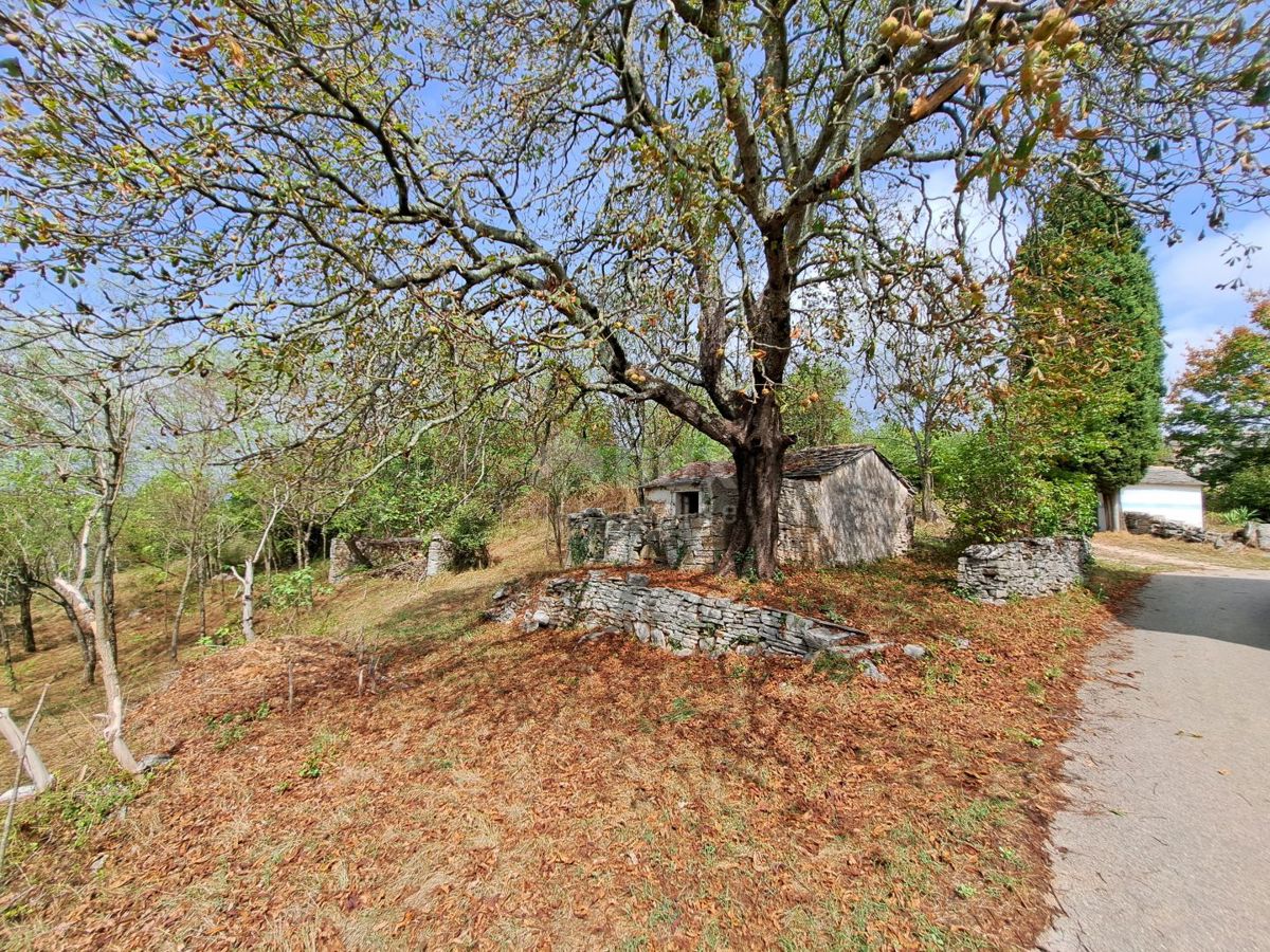 ISTRA, GROŽNJAN, OKOLICA - stara hiša z zemljiščem 60.000 m2 