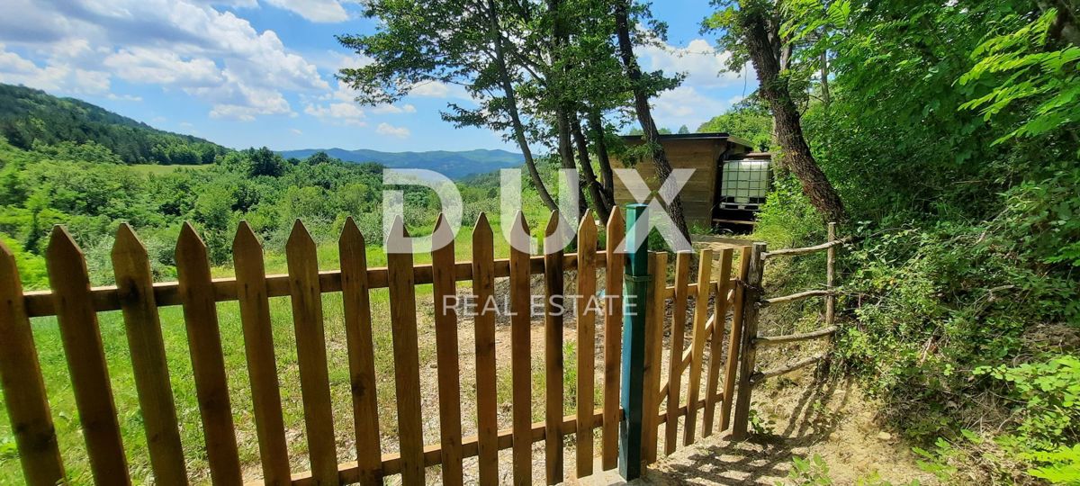 ISTRA, CEROVLJE, GRIMALDA – Oljčnik med griči, 280 dreves na 2,4 ha