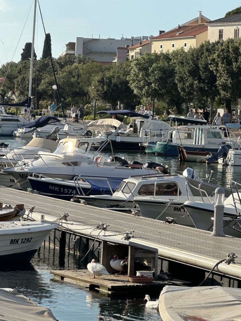 OTOK KRK, MALINSKA - Manjši apartma z zunanjim vrtom, nujno prodamo!