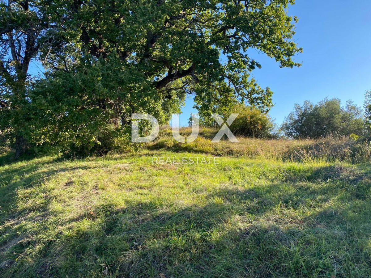ISTRA, DRAGUĆ - gradbeno zemljišče 2.257 za stanovanjski objekt - apartmaji / apartmaji / družinska hiša / vila! PRILOŽNOST!!!