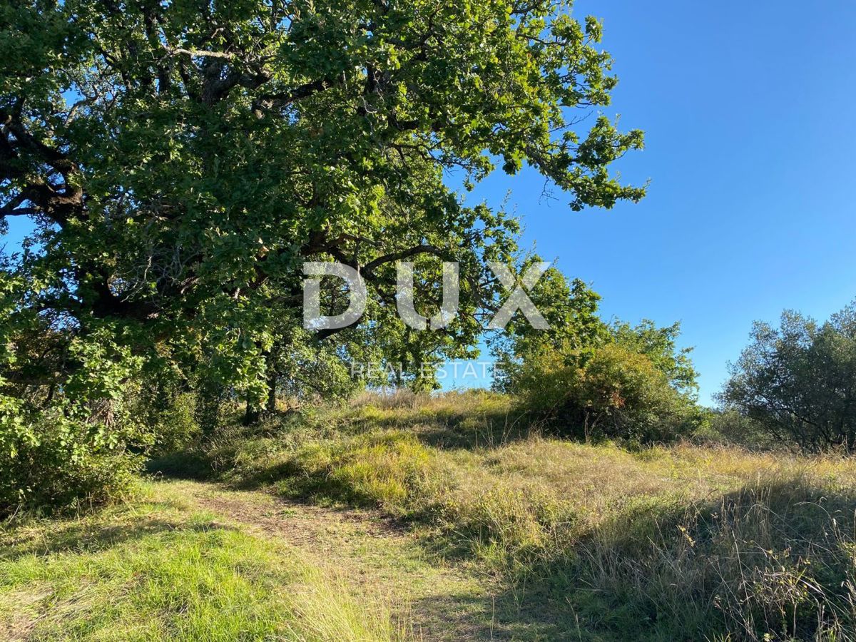 ISTRA, DRAGUĆ - gradbeno zemljišče 2.257 za stanovanjski objekt - apartmaji / apartmaji / družinska hiša / vila! PRILOŽNOST!!!