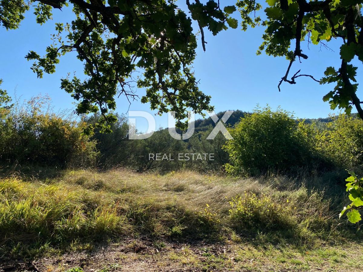 ISTRA, DRAGUĆ - gradbeno zemljišče 2.257 za stanovanjski objekt - apartmaji / apartmaji / družinska hiša / vila! PRILOŽNOST!!!