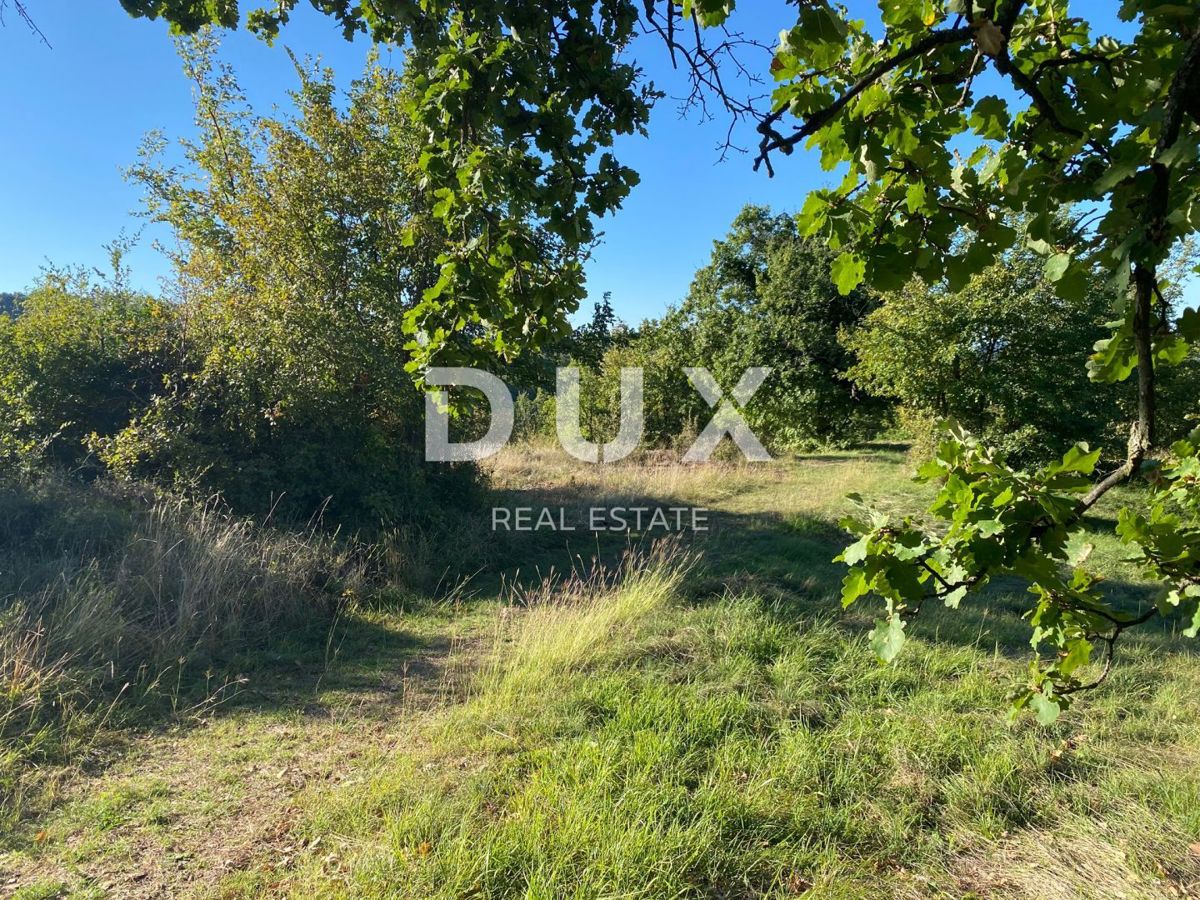 ISTRA, DRAGUĆ - gradbeno zemljišče 2.257 za stanovanjski objekt - apartmaji / apartmaji / družinska hiša / vila! PRILOŽNOST!!!