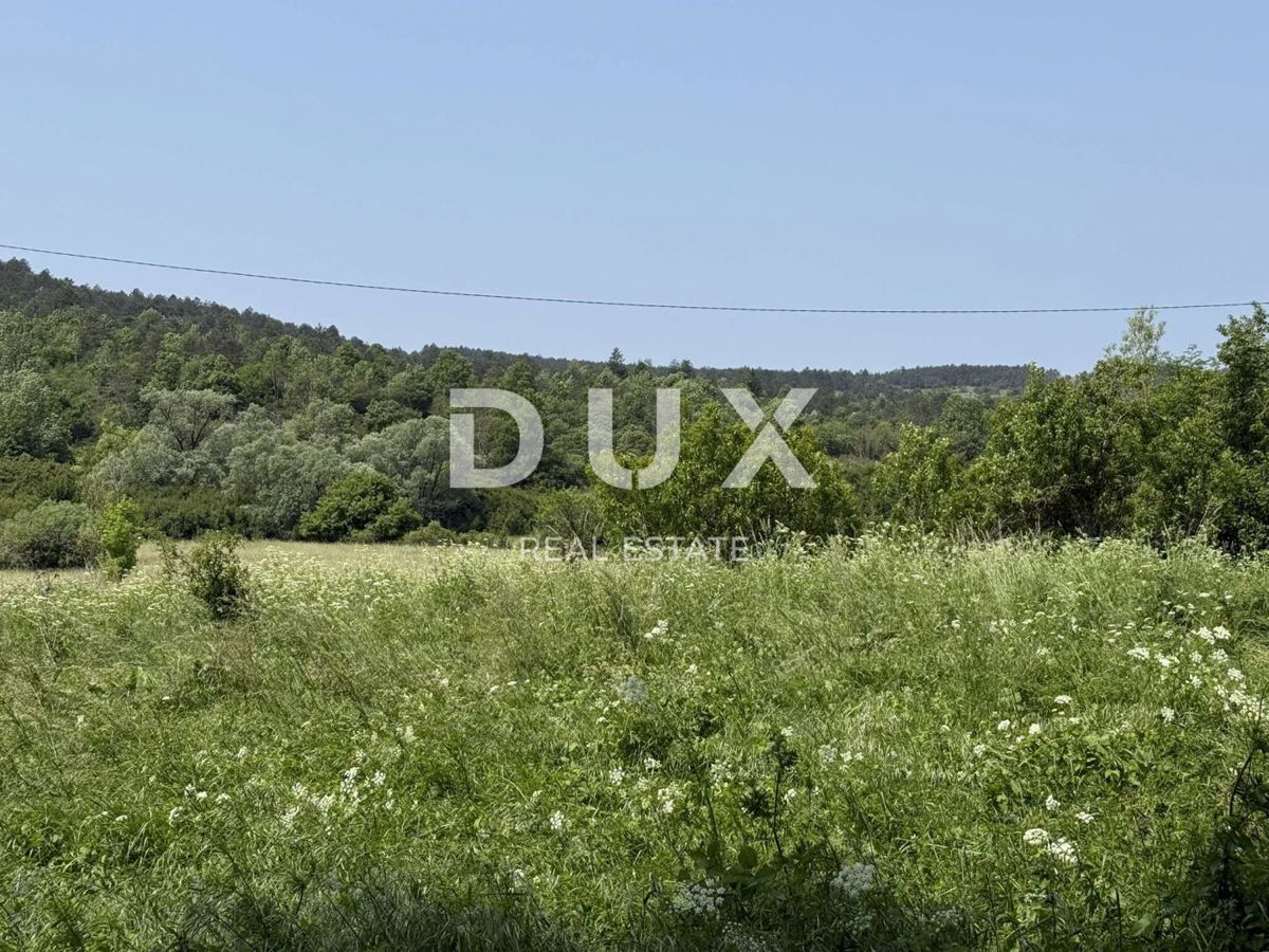 ISTRA, LANIŠĆE - Kmetijska zemljišča namembnosti P3