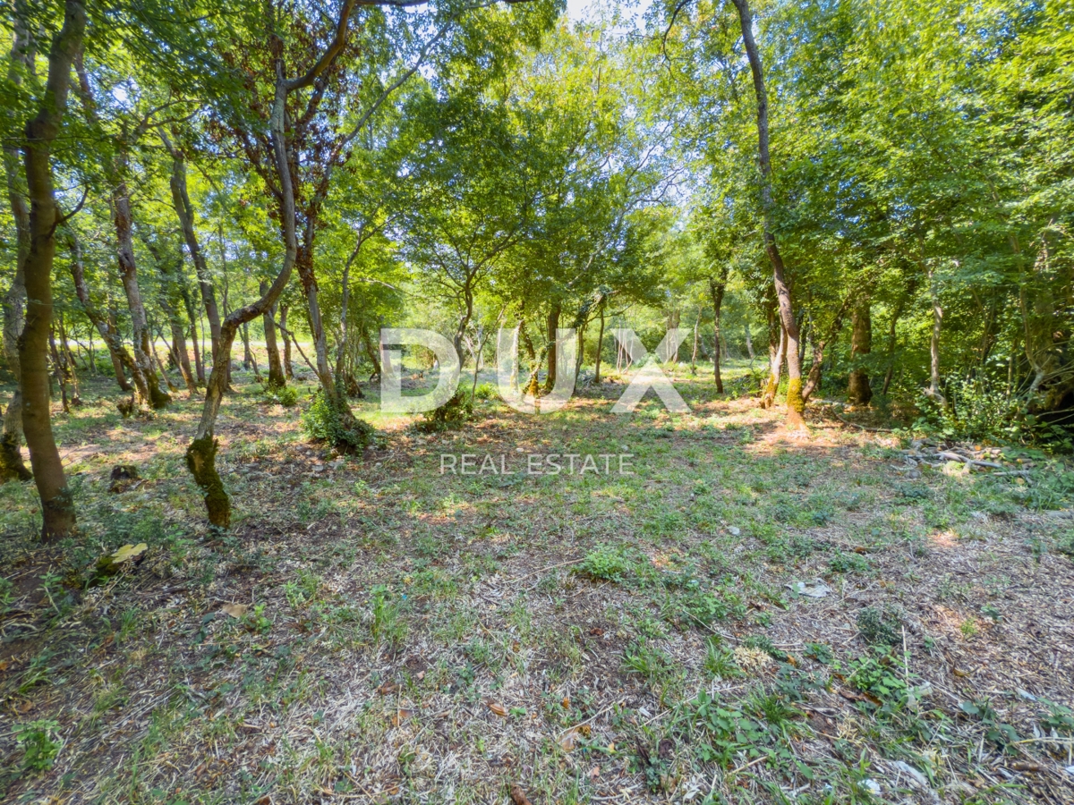 CRIKVENICA, TRIBALJ - Veliko urejeno zemljišče ob cesti